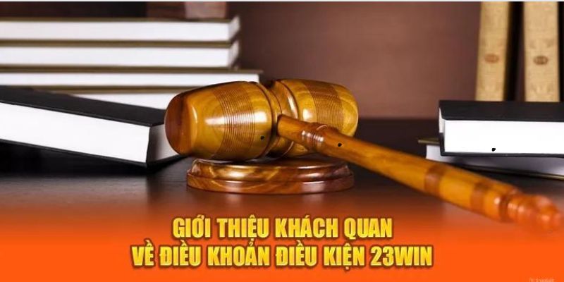 Tầm quan trọng của các chính sách điều khoản điều kiện tại 23WIN