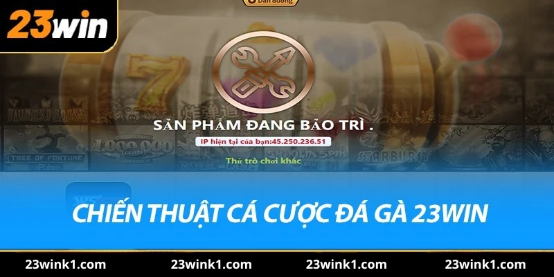 Chiến thuật cá cược đá gà 23win