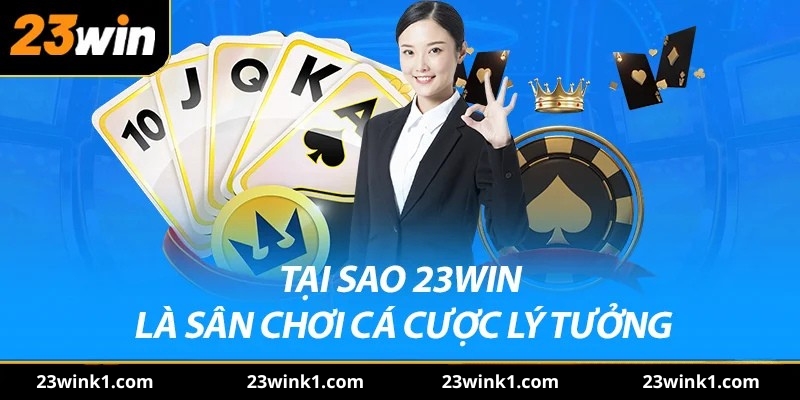 Tại sao 23win là sân chơi cá cược lý tưởng
