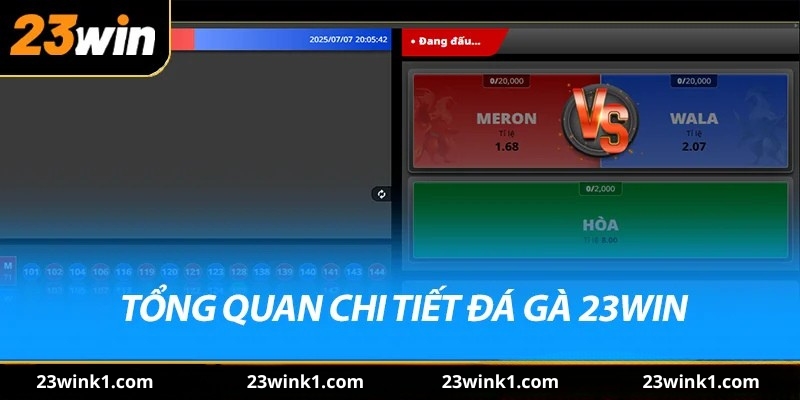 Tổng quan chi tiết đá gà 23win