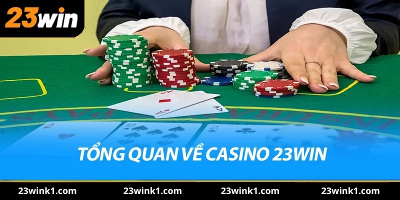 Tổng quan về casino 23win